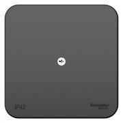 Коробка распределительная ОП Blanca IP42 антрацит SE BLNRK000016