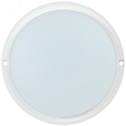 Светильник светодиодный ДПО 4002 12 Вт IP54 4000K круг белый пластик