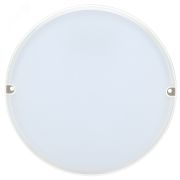 Светильник светодиодный ДПО 2011Д 12Вт IP54 4000К круг белый с акустическим датчиком