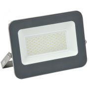 Прожектор СДО 07-100 светодиодный серый IP65