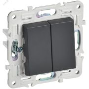 SKANDY Выключатель 2-клавишный 10А SK-V04T титан IEK